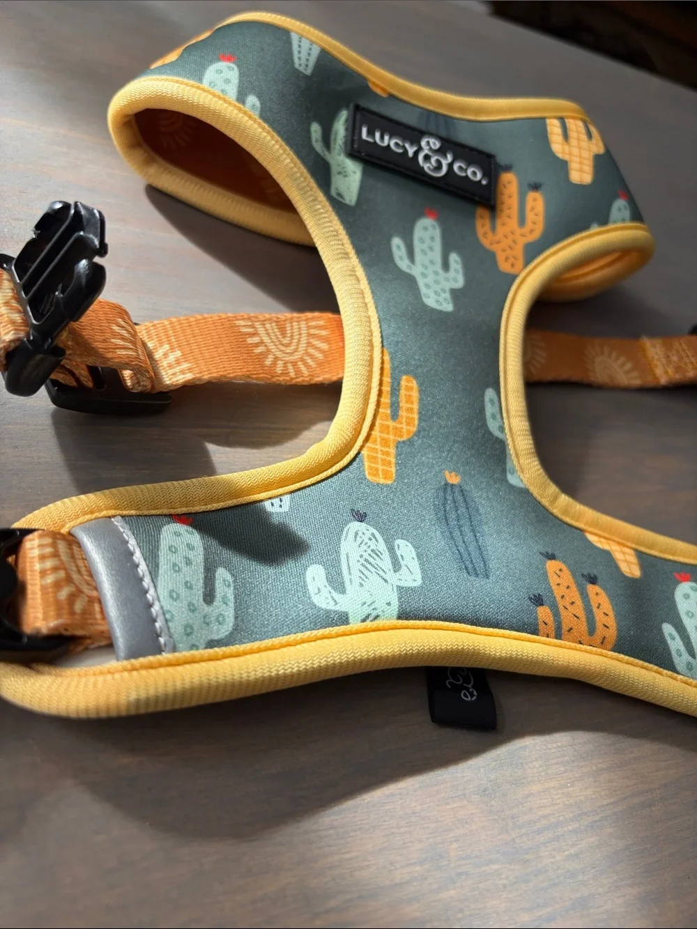 Lucy & Co Looking Sharp Reversible Harness